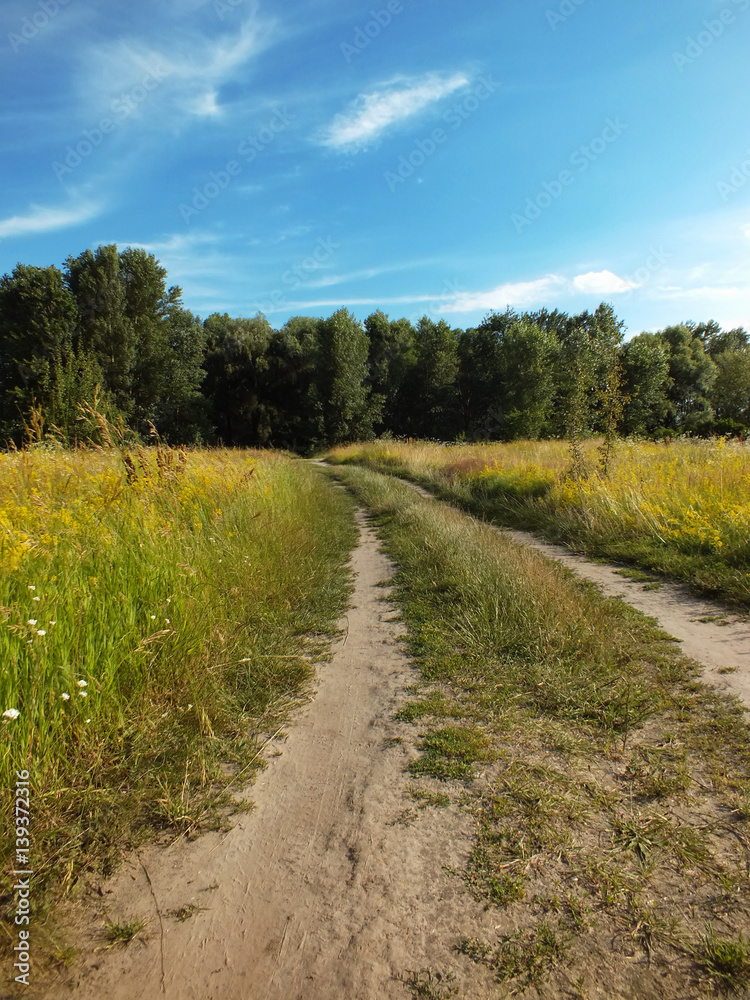 Road in field