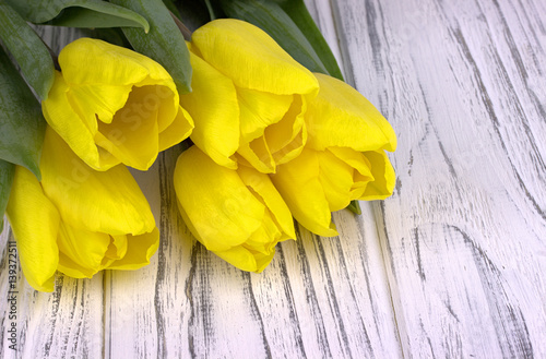 Yellow spring tulips on white wooden background. Place for text. Womans day. 8 March. photo