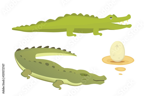 Crocodile Cute Character set. Aligator vector cartoon illustration