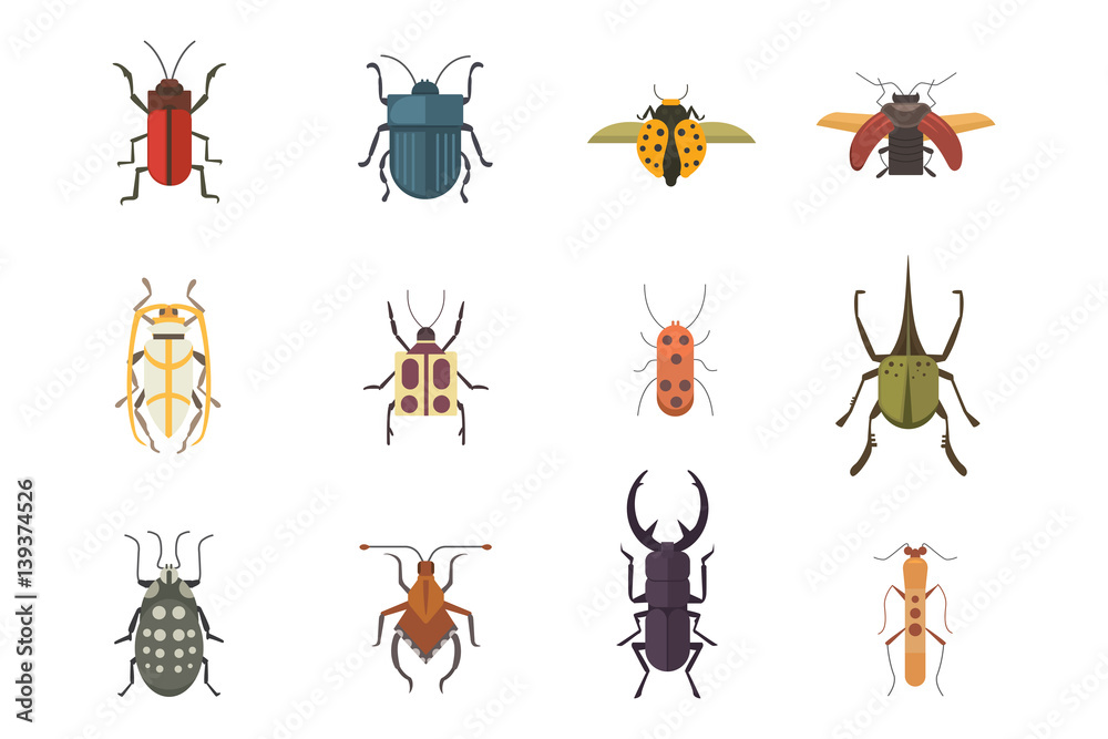 Set of insects flat style vector design icons. Collection nature beetle and zoology cartoon illustration. Bug icon wildlife concept Set of insects flat style vector design icons. Collection nature beetle and zoology cartoon illustration. Bug icon wildlife concept