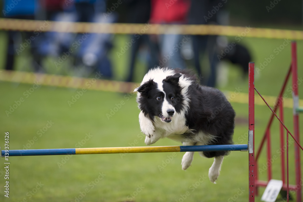 Jump over hurdle