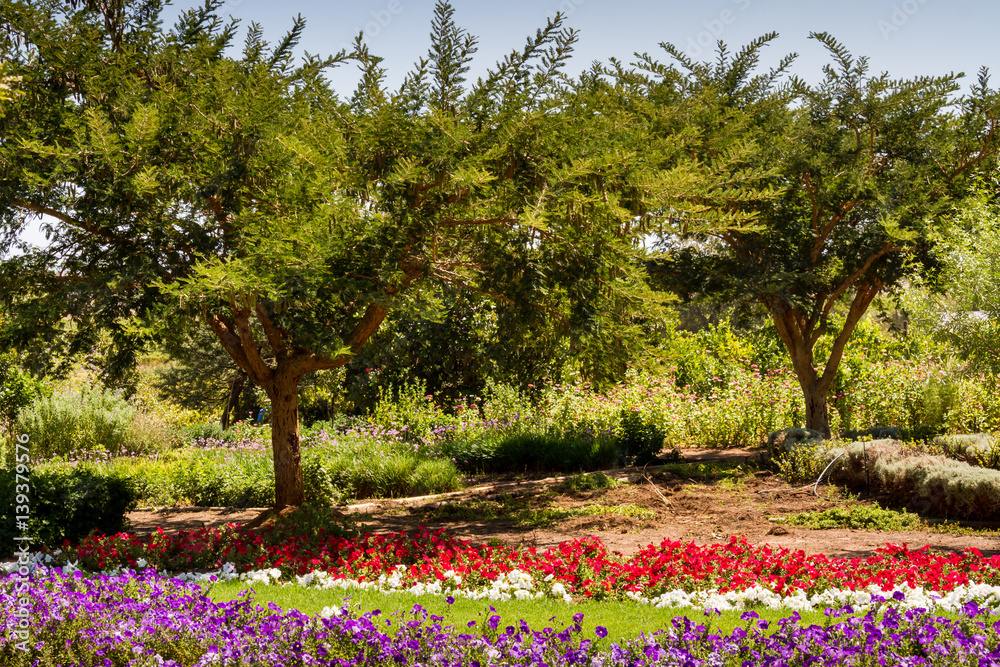 custom made wallpaper toronto digitalA Summer Garden