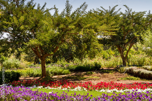 Wallpaper Mural A Summer Garden Torontodigital.ca