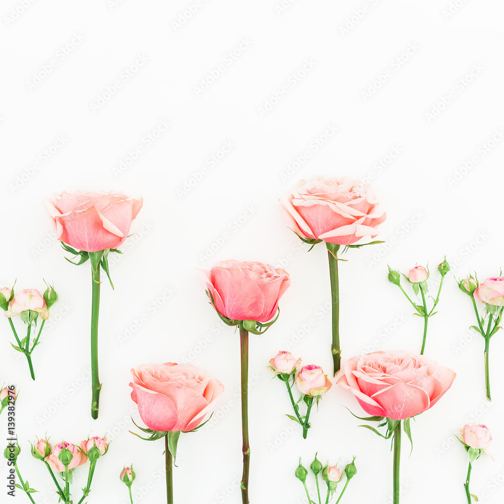 Floral pattern of pink roses isolated on white background. Flat lay, top view. Floral background. 