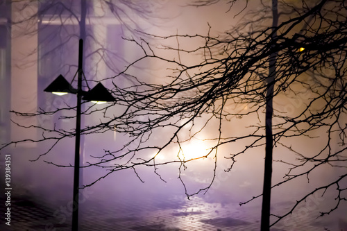 Fireworks on the street of Amsterdam in a New Year night