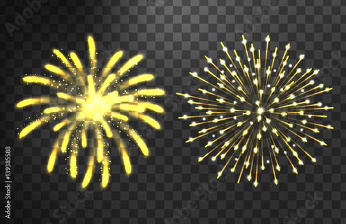 Firework different shapes colorful festive vector.
