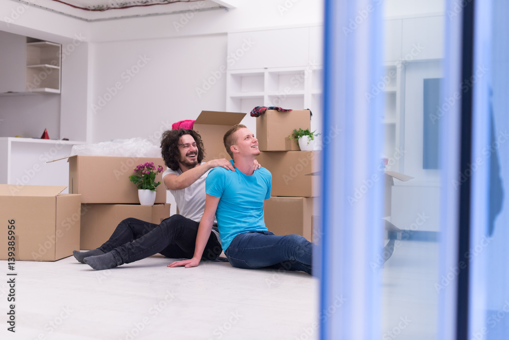 young gay couple moving in new house young gay couple moving in new house