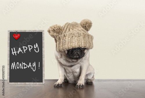 cute pug puppy dog with bad monday morning mood, sitting next to blackboard sign with text happy monday, copy space photo