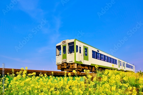 菜の花と列車（陸羽西線）
