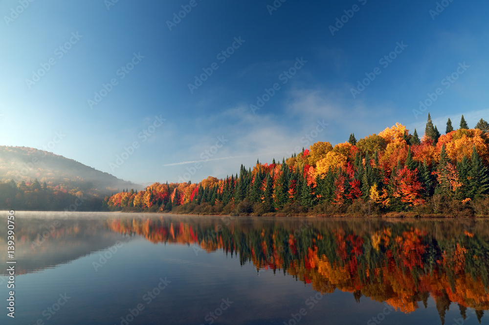 Naklejka premium Autumn forest reflected in water. Colorful autumn morning in the mountains. Colourful autumn morning in mountain lake. Colorful autumn landscape. Autumn in Canada.