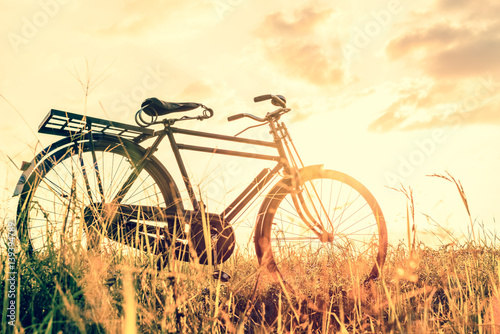 Landscape picture Vintage Bicycle with Summer grass field at sunset   vintage filter style.classic bicycle,old bicycle style for greeting Cards ,post card © Looker_Studio