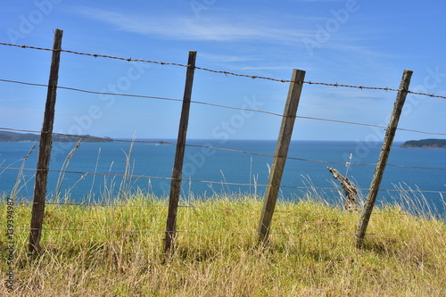 Cattle wire fence having top barbed wire on grass with blue sea in background.