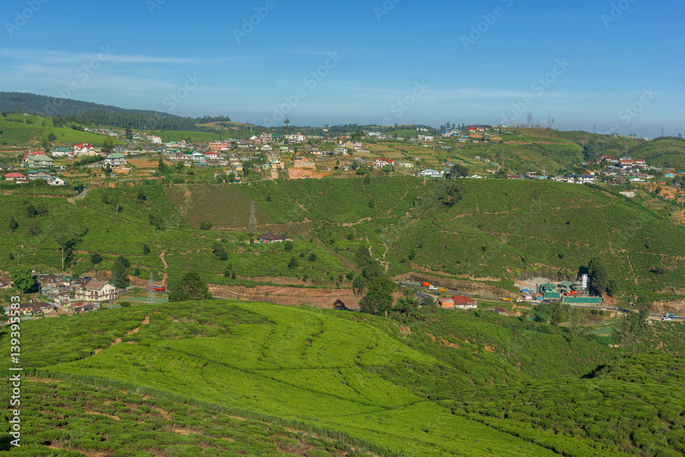 Landscape with green fields of tea near the city in Sri Lanka