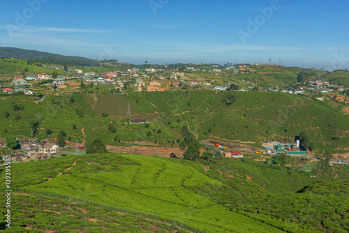 Landscape with green fields of tea near the city in Sri Lanka