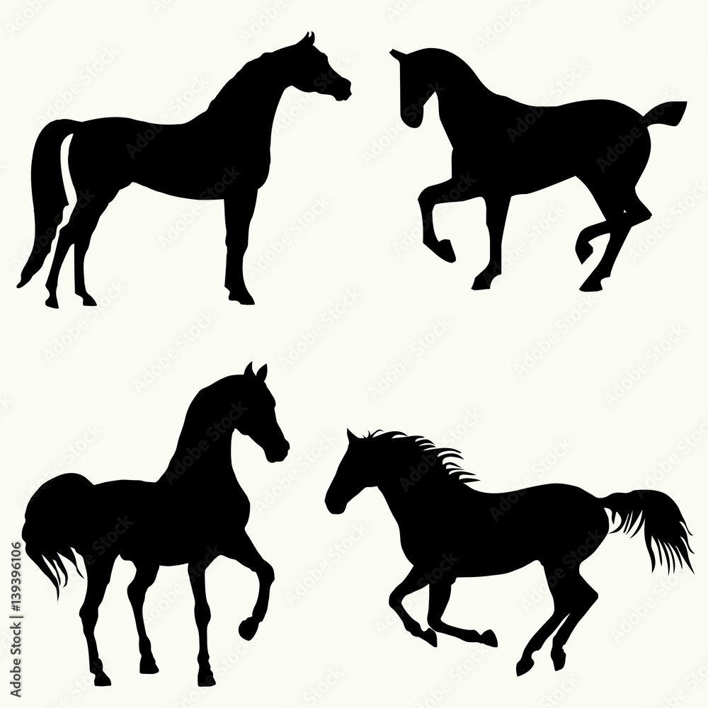 Vector silhouette of a horse. Black horse silhouette in movement and standing. Vector illustration. Vector silhouette of a horse. Black horse silhouette in movement and standing. Vector illustration.