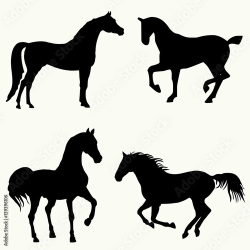 Vector silhouette of a horse. Black horse silhouette in movement and standing. Vector illustration.