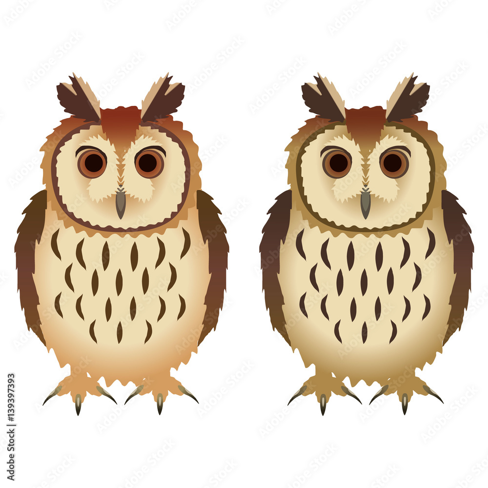 ウサギフクロウ Images – Browse 18 Stock Photos, Vectors, and