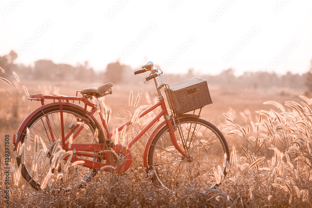 beautiful landscape image with Bicycle at summer grass field.classic bicycle,old bicycle style for greeting Cards ,post card