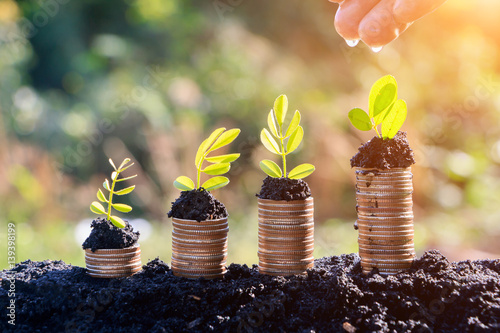 Fotografía Hands watering young  plants growing in germination sequence on golden coins , b