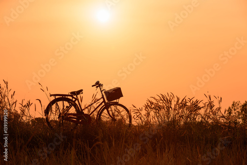 Landscape picture Vintage Bicycle with Summer grass field at sunset ; vintage filter style.classic bicycle,old bicycle style for greeting Cards ,post card © Looker_Studio