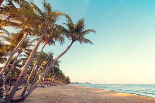 Landscape of coconut palm tree on tropical beach at sunset in summer. Summer background concept. vintage color tone