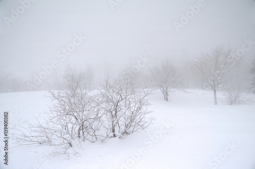 top of snow mountain in japan