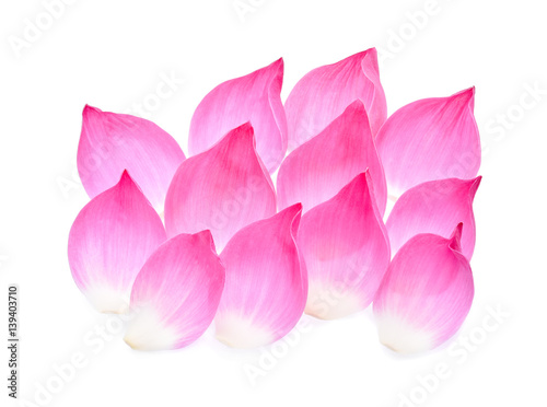 Lotus petal isolate on white background