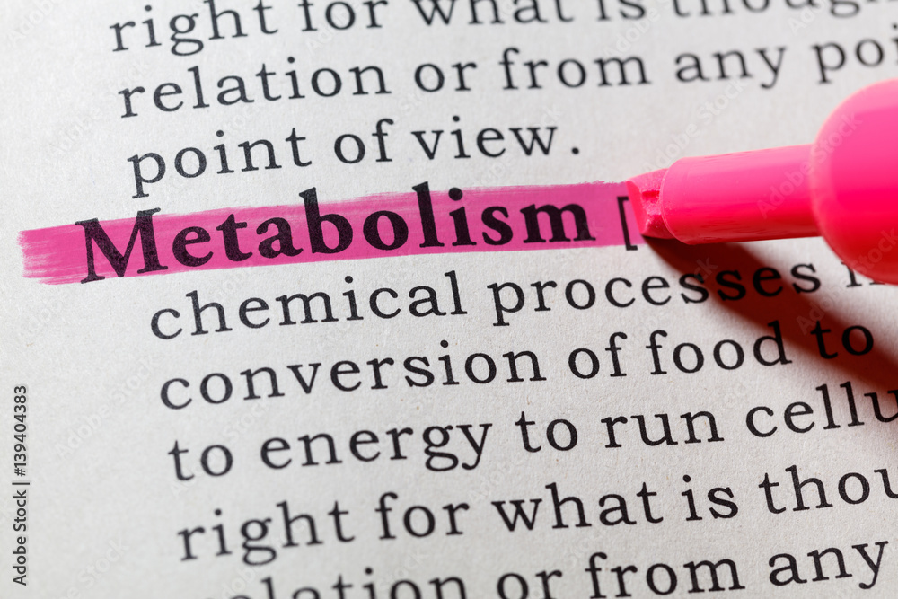 definition of metabolism - obrazy, fototapety, plakaty 