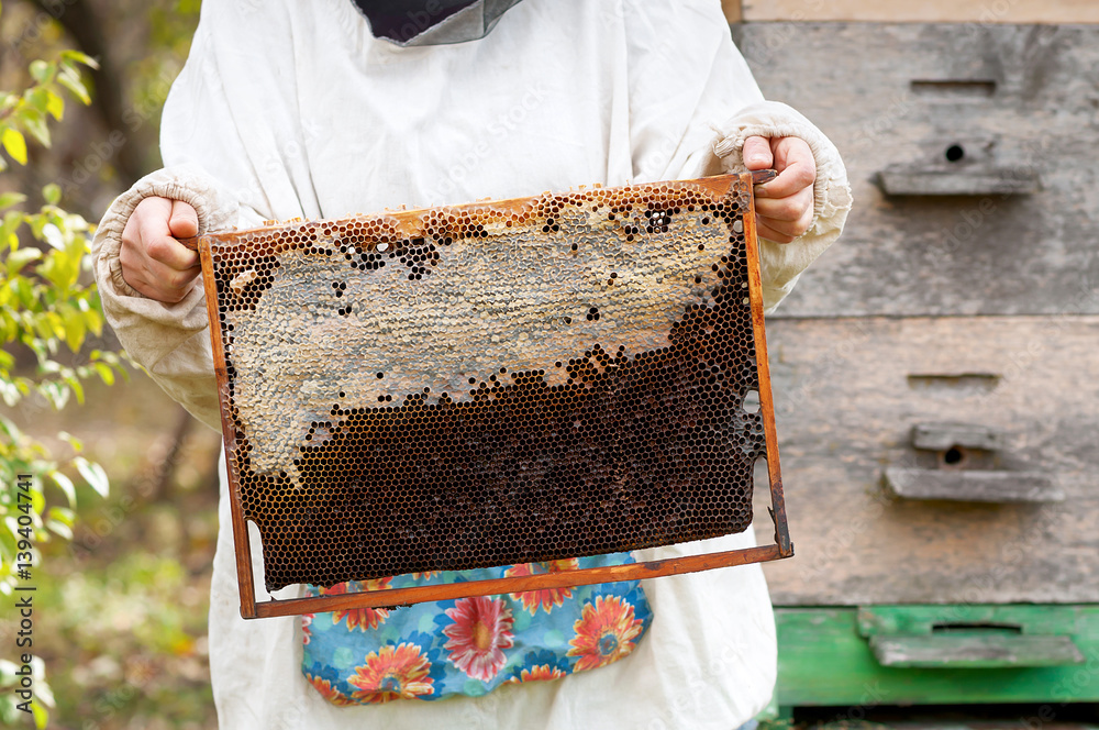 Beekeeper hands hold honey comb in the frame in the garden. Selective focus. Beekeeper hands hold honey comb in the frame in the garden. Selective focus.