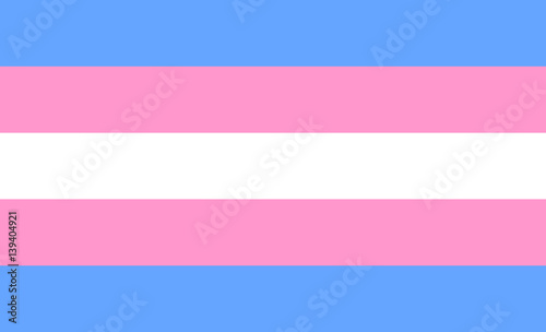 Transgender flag or trans banner with blue and pink strips vector