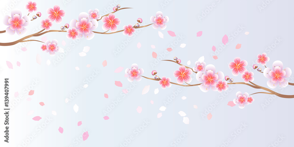 Branches of Sakura and petals flying isolated on light Blue background. Apple-tree flowers. Cherry blossom. Vector 