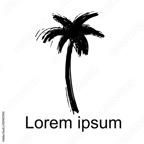 Coconut palm tree 