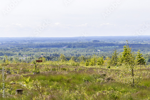 Old clearcut with a view of a landscape