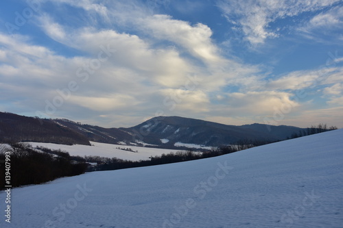 scenery of snow covered landscapes