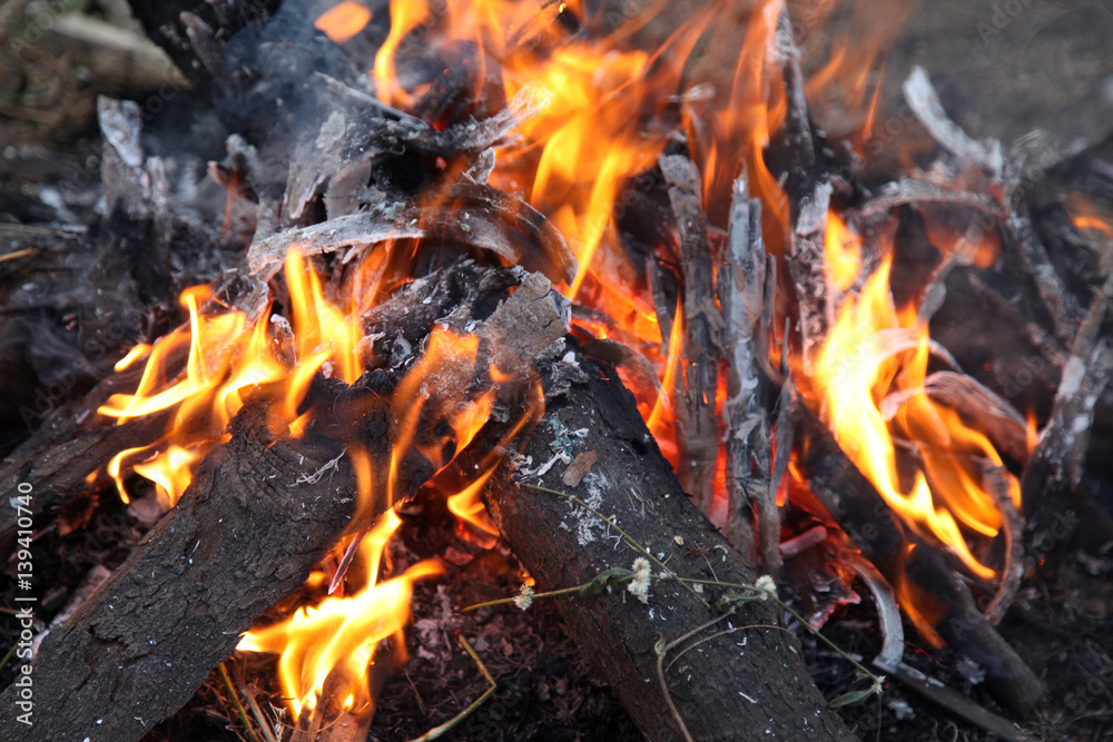 Burning firewood in the fireplace close up Burning firewood in the fireplace close up