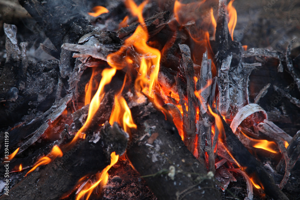 Burning firewood in the fireplace close up Burning firewood in the fireplace close up