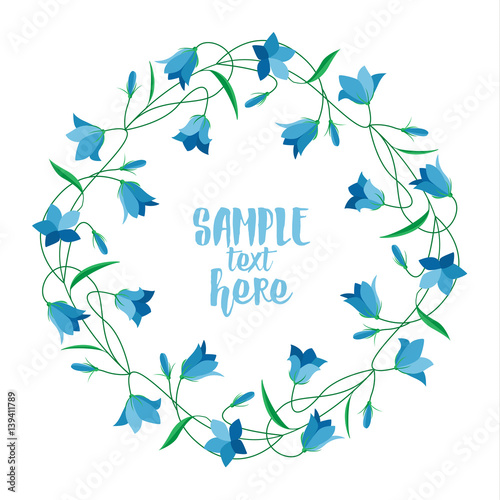 Summer flower campanula
