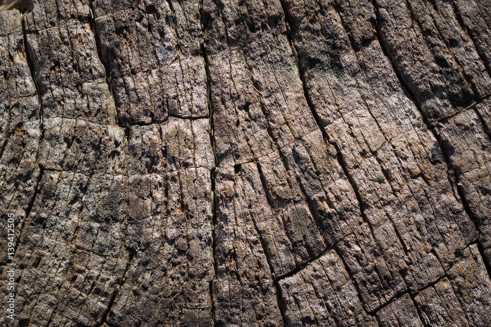 wood texture background