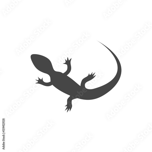 Lizard icon vector - Illustration