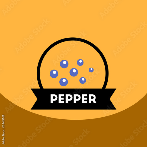 flat vector icon design collection Kitchenware seasoning pepper