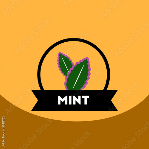 flat vector icon design collection Kitchenware seasoning mint