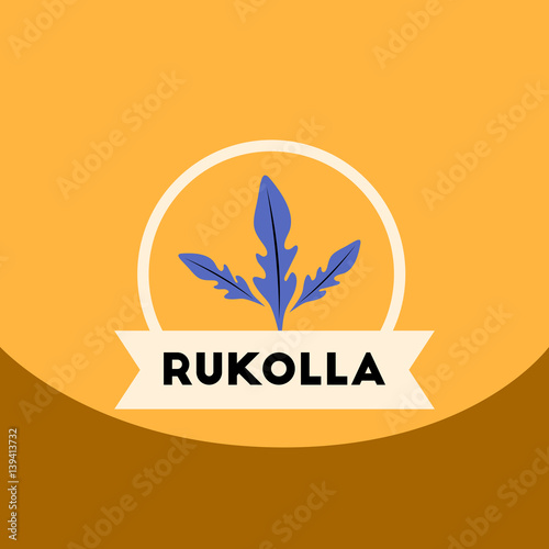 flat vector icon design collection Kitchenware seasoning rukolla