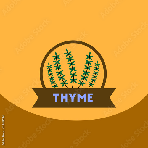 flat vector icon design collection Kitchenware seasoning thyme