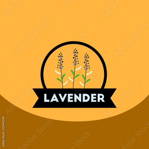flat vector icon design collection Kitchenware seasoning lavender