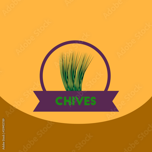 flat vector icon design collection Kitchenware seasoning chives