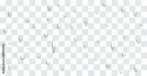 transparent water drop background vector