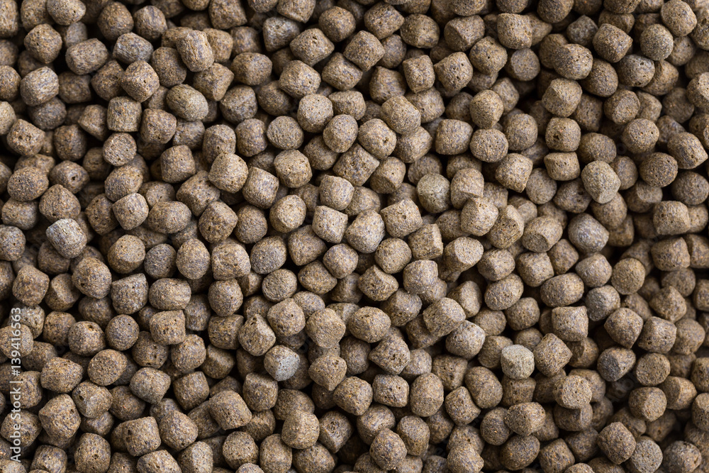 close-up animal feed Patterns, can be used as a background close-up animal feed Patterns, can be used as a background