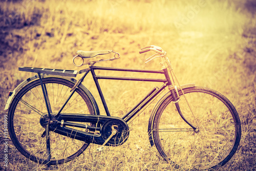 Vintage Old Bicycle with Summer grass field ; vintage filter style