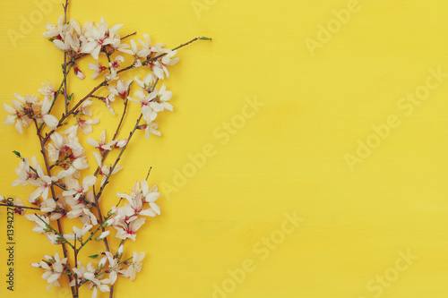 white cherry blossoms tree on wooden background