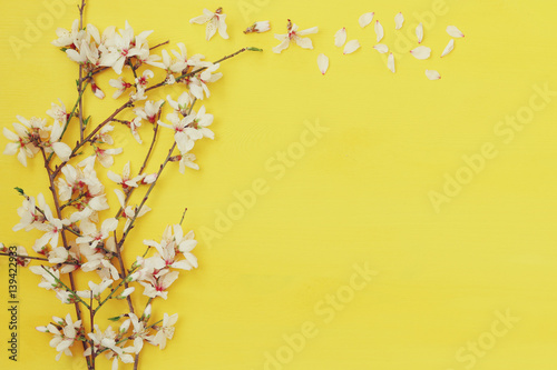 white cherry blossoms tree on wooden background